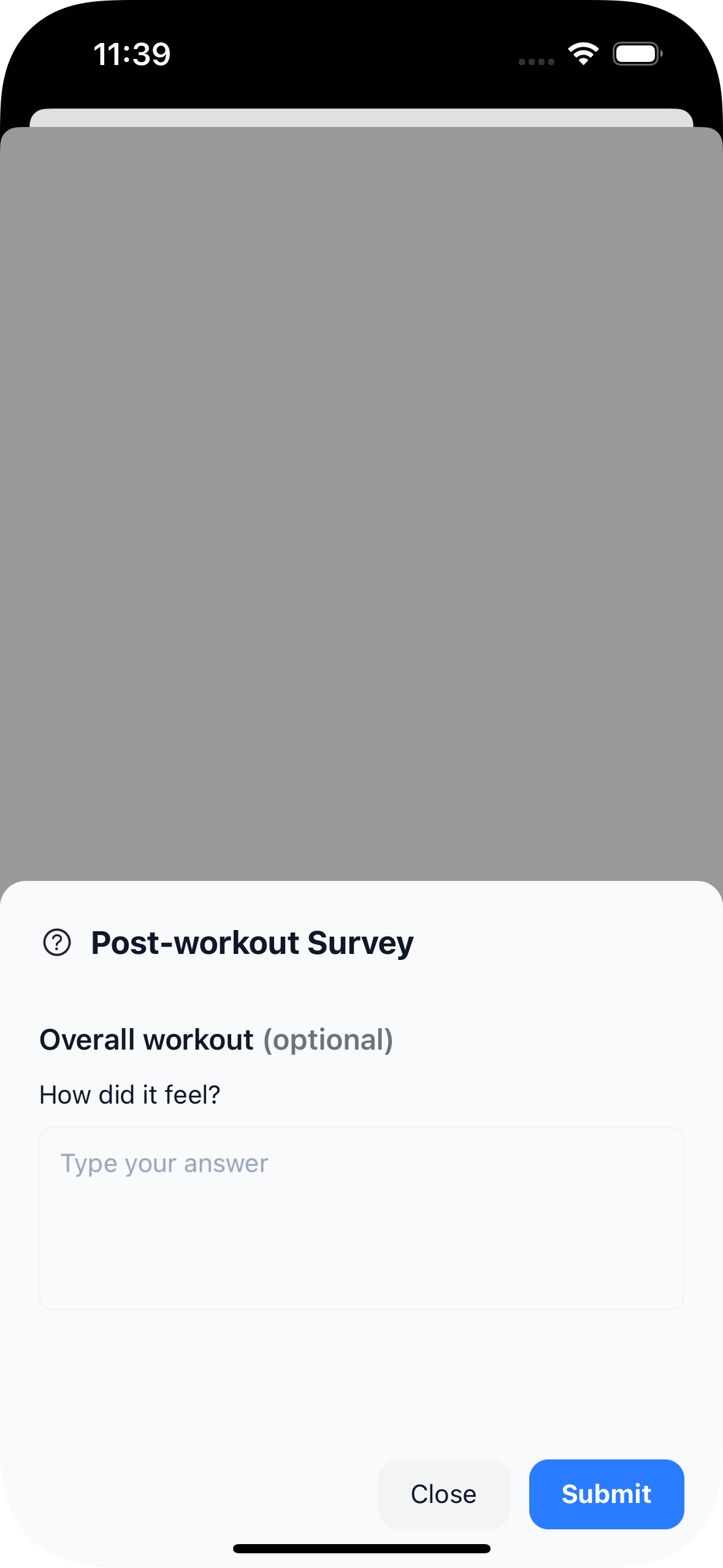 Client view – post-workout survey